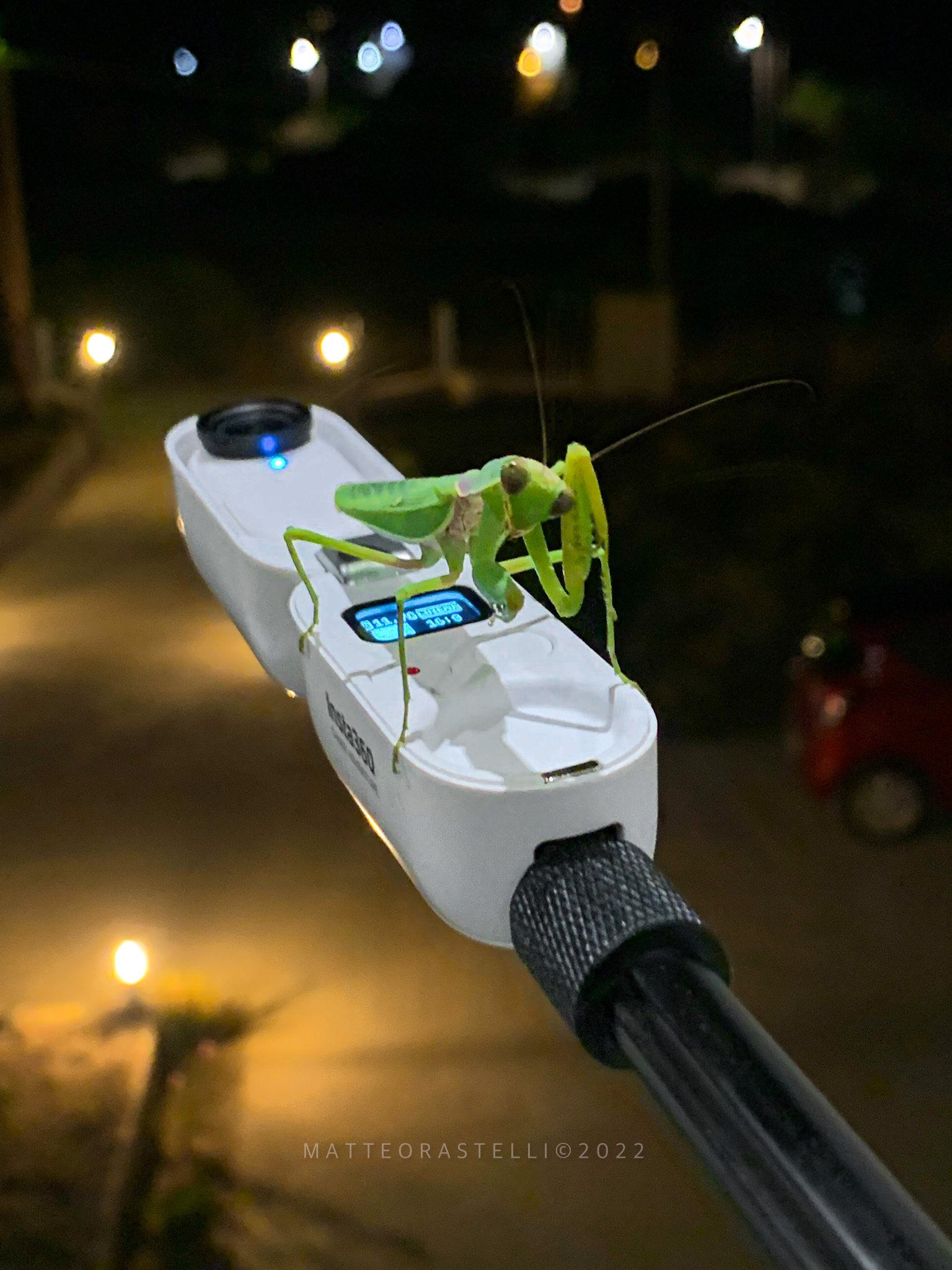 Insta Mantis