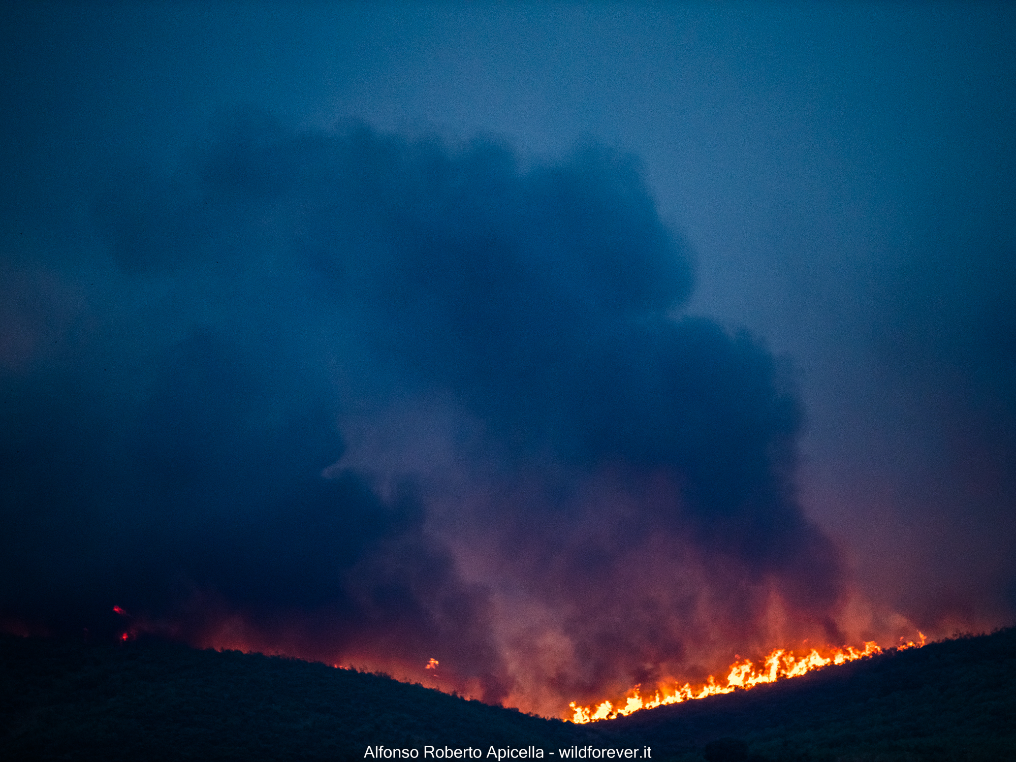 Monfrague National Park Fire