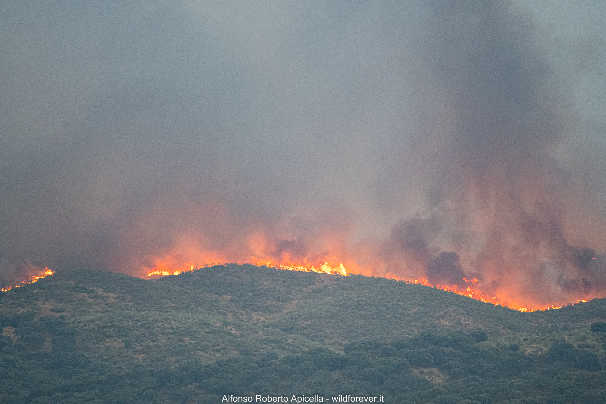 Monfrague National Park Fire