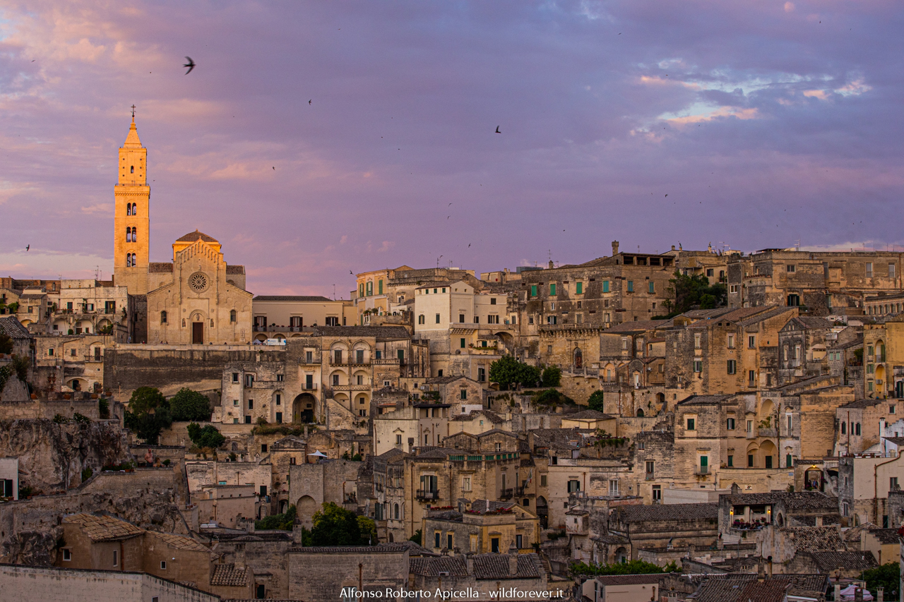 Matera