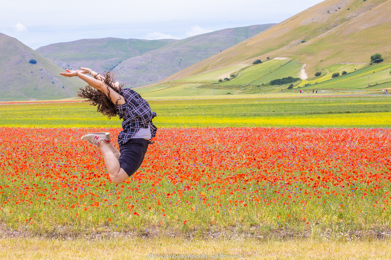 Castelluccio - in the plain of lentils