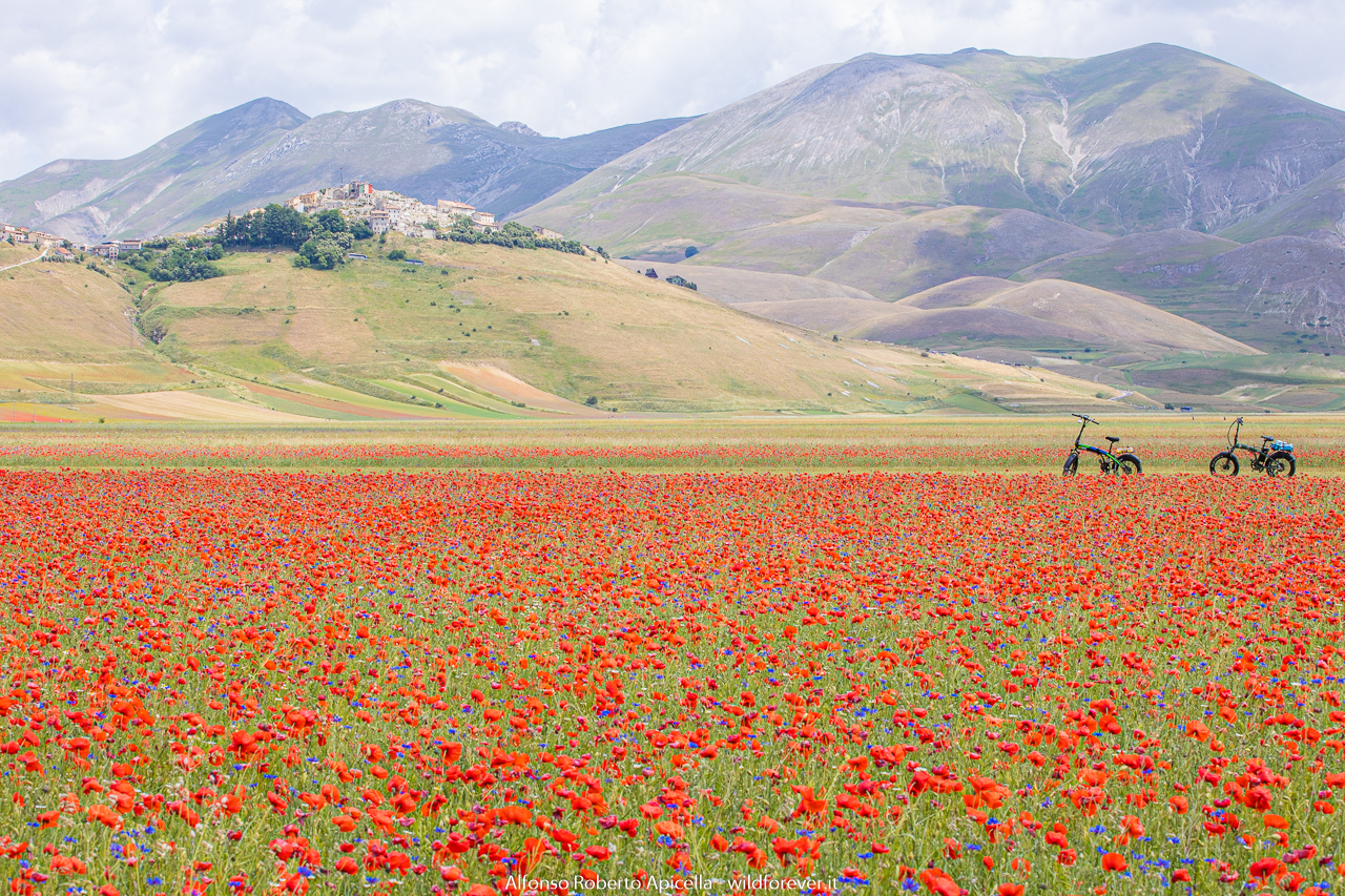 Castelluccio - in the plain of lentils