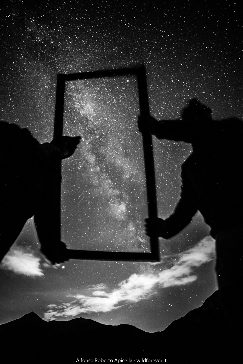 Pini Loricati - Pollino National Park