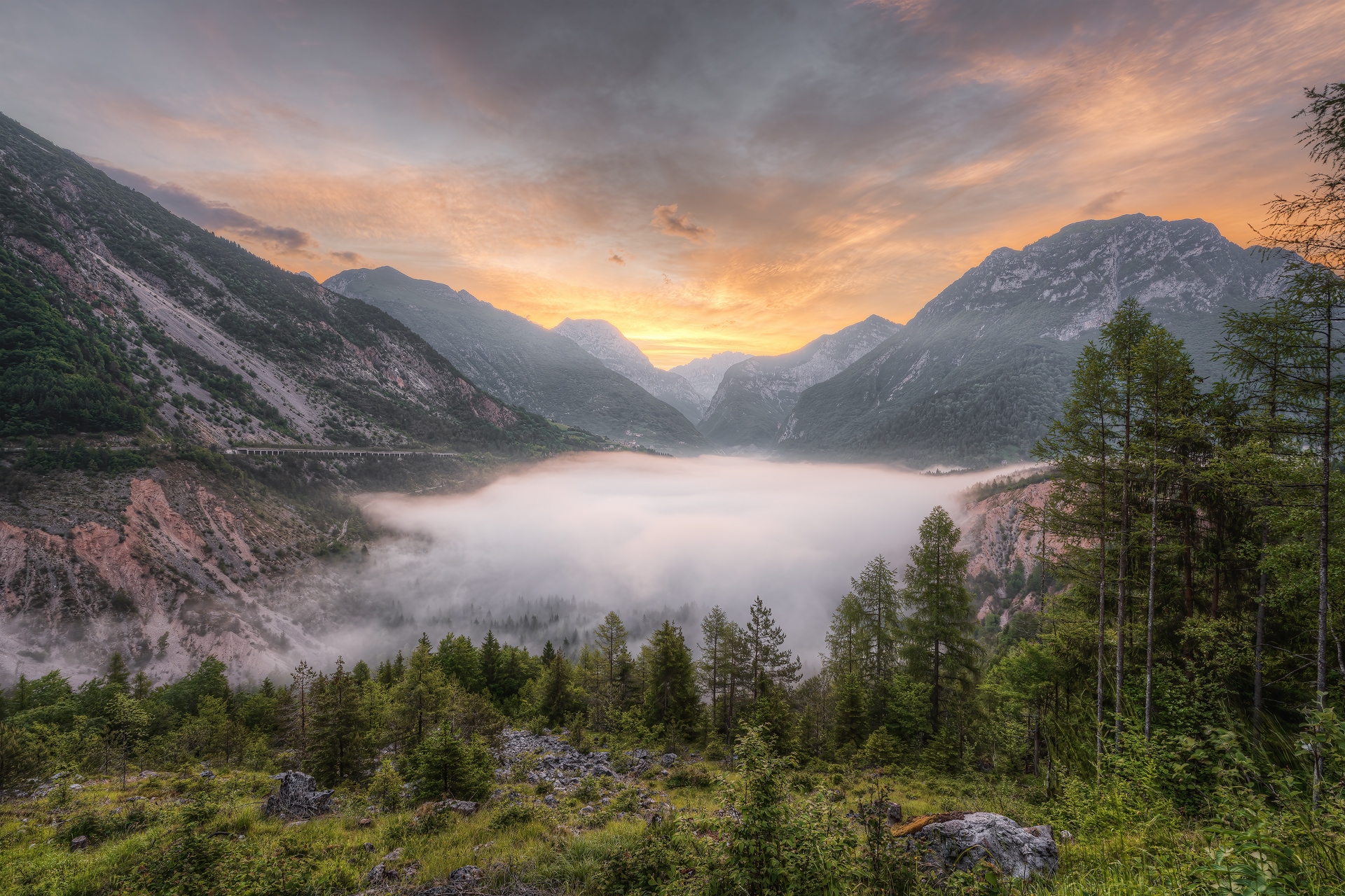 "???????????? ???" Pink-fingered aurora