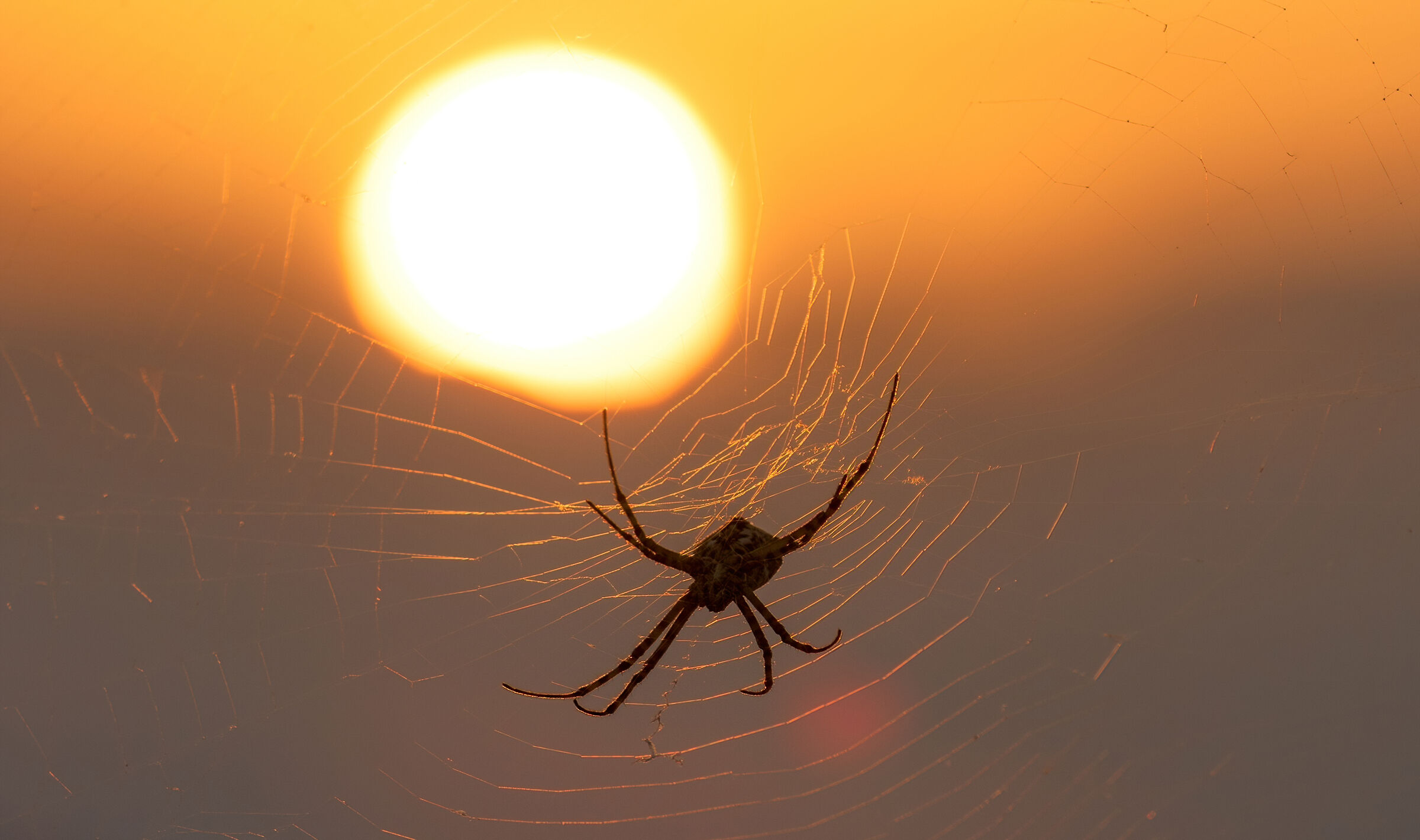 catturare gli ultimi raggi di sole