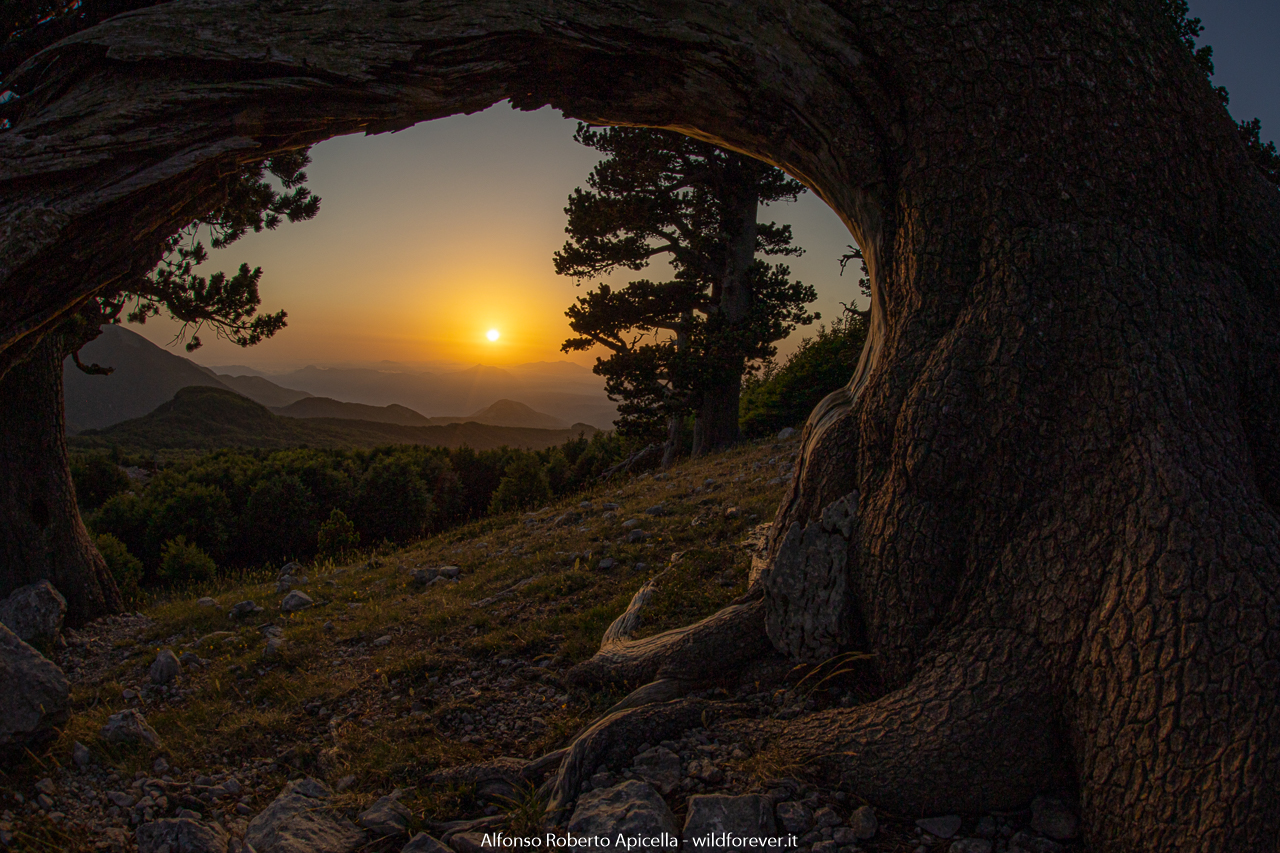 Sunset on the peaks - Pollino National Park