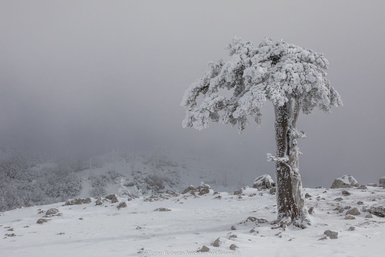 Pollino National Park