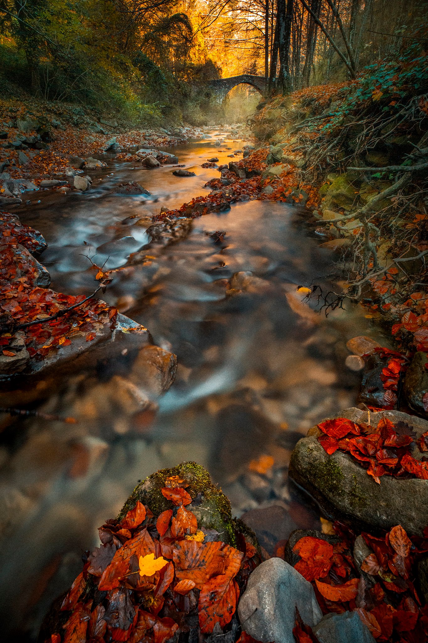 Autumn in the Apennines