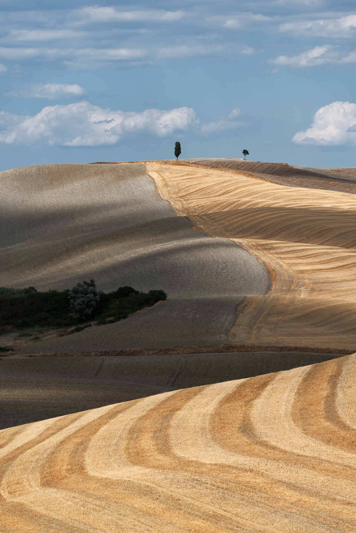 Crete Senesi