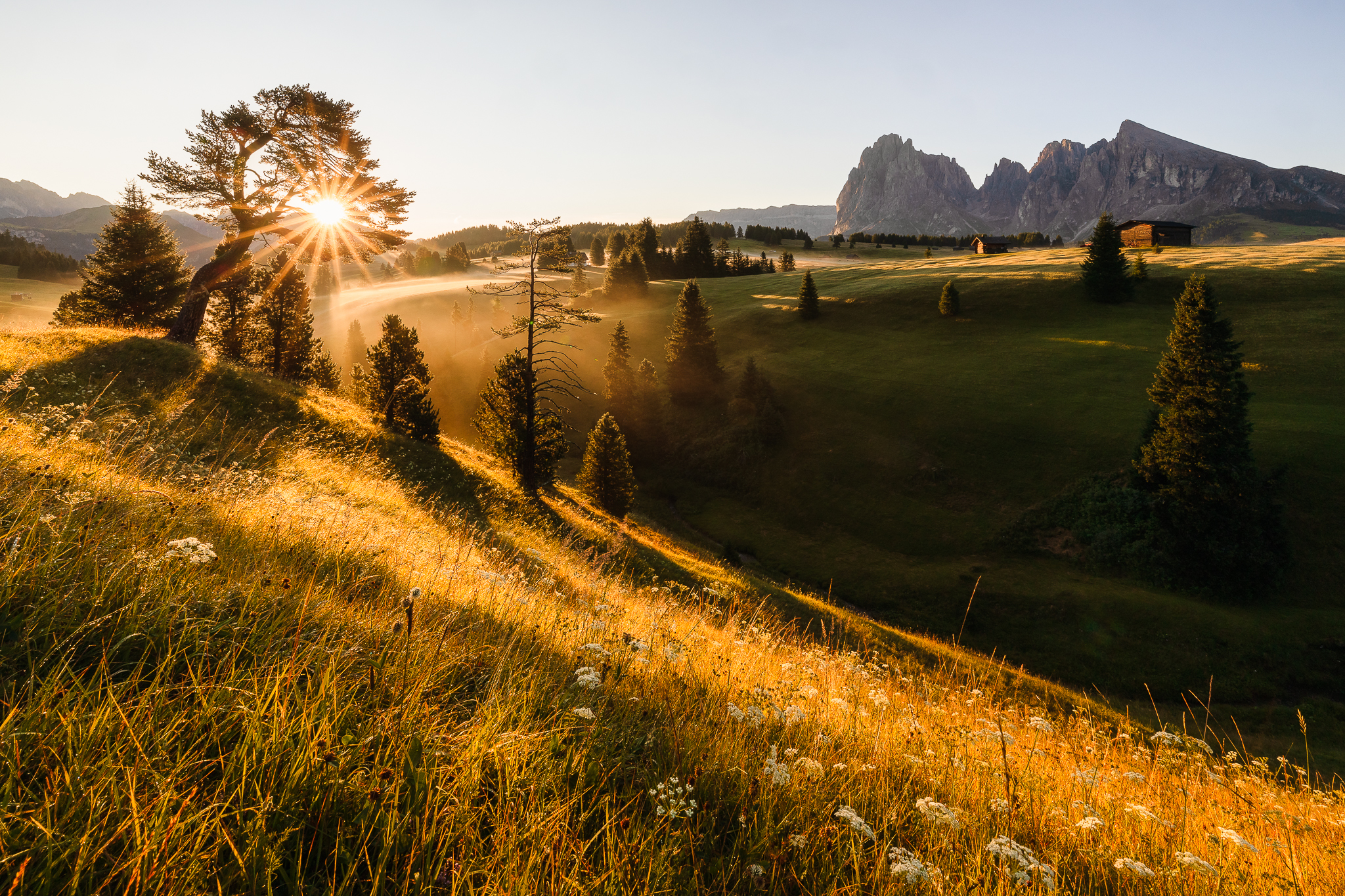 Finalmente il sole