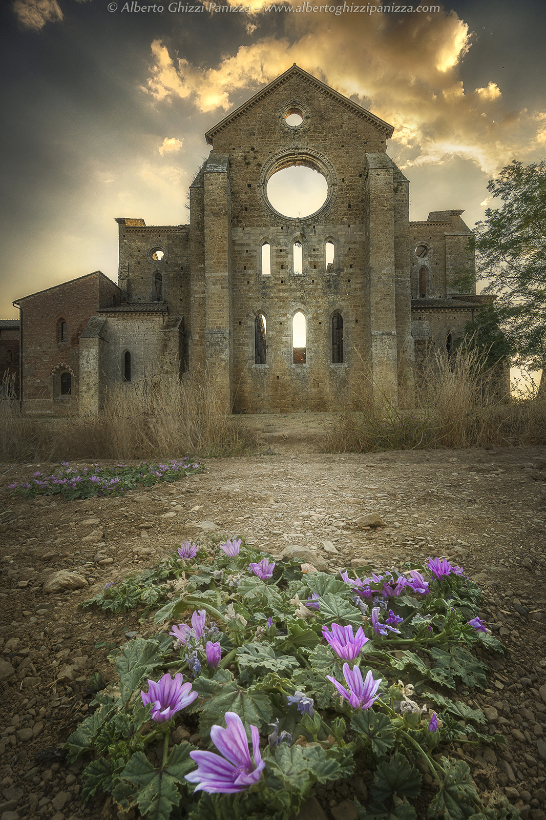 Sunset in San Galgano
