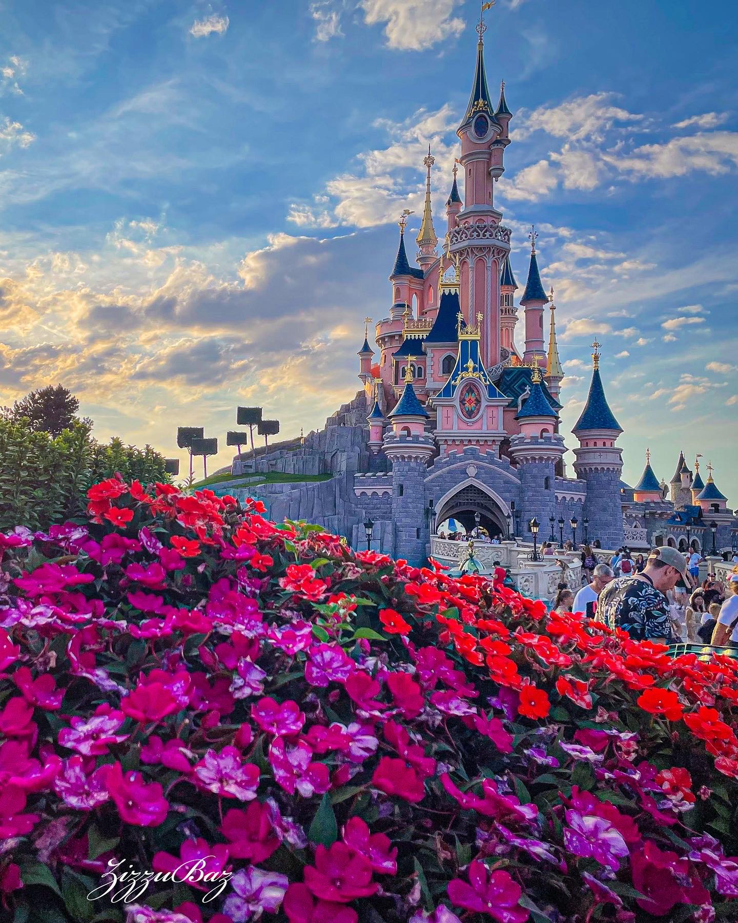 Disneyland
