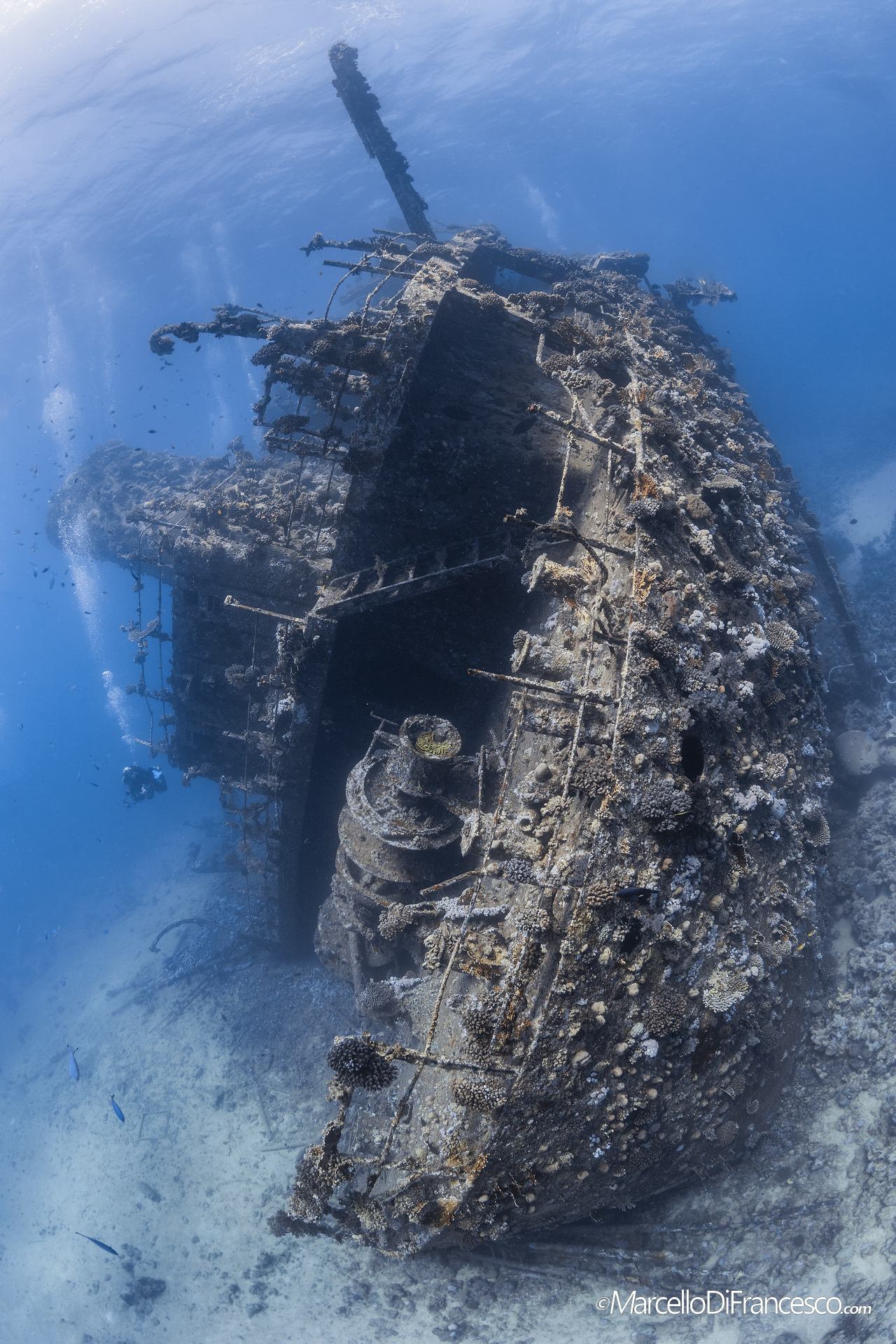 Gianni D Wreck - Abu Nuhas - Red sea