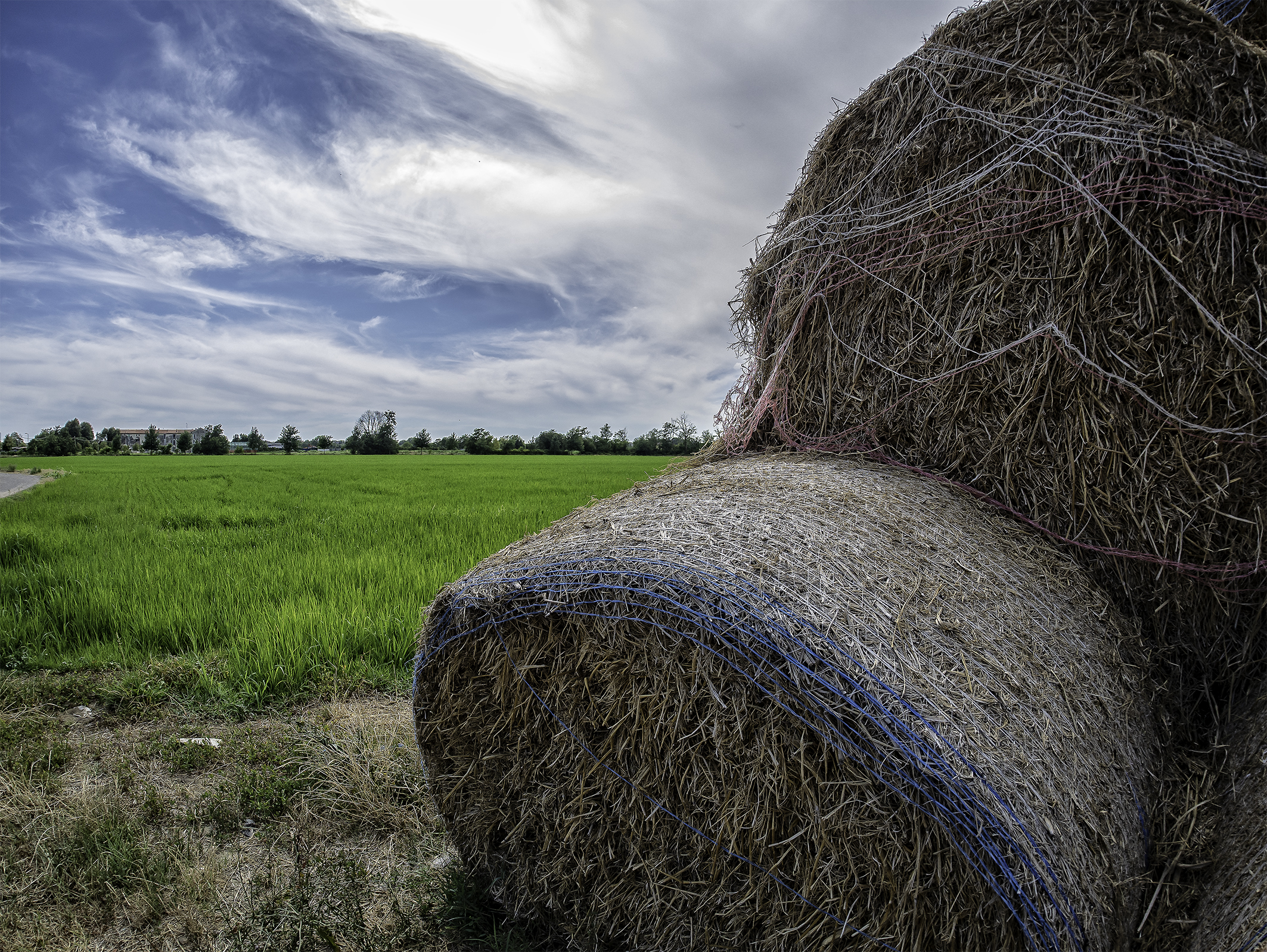 Agritourism