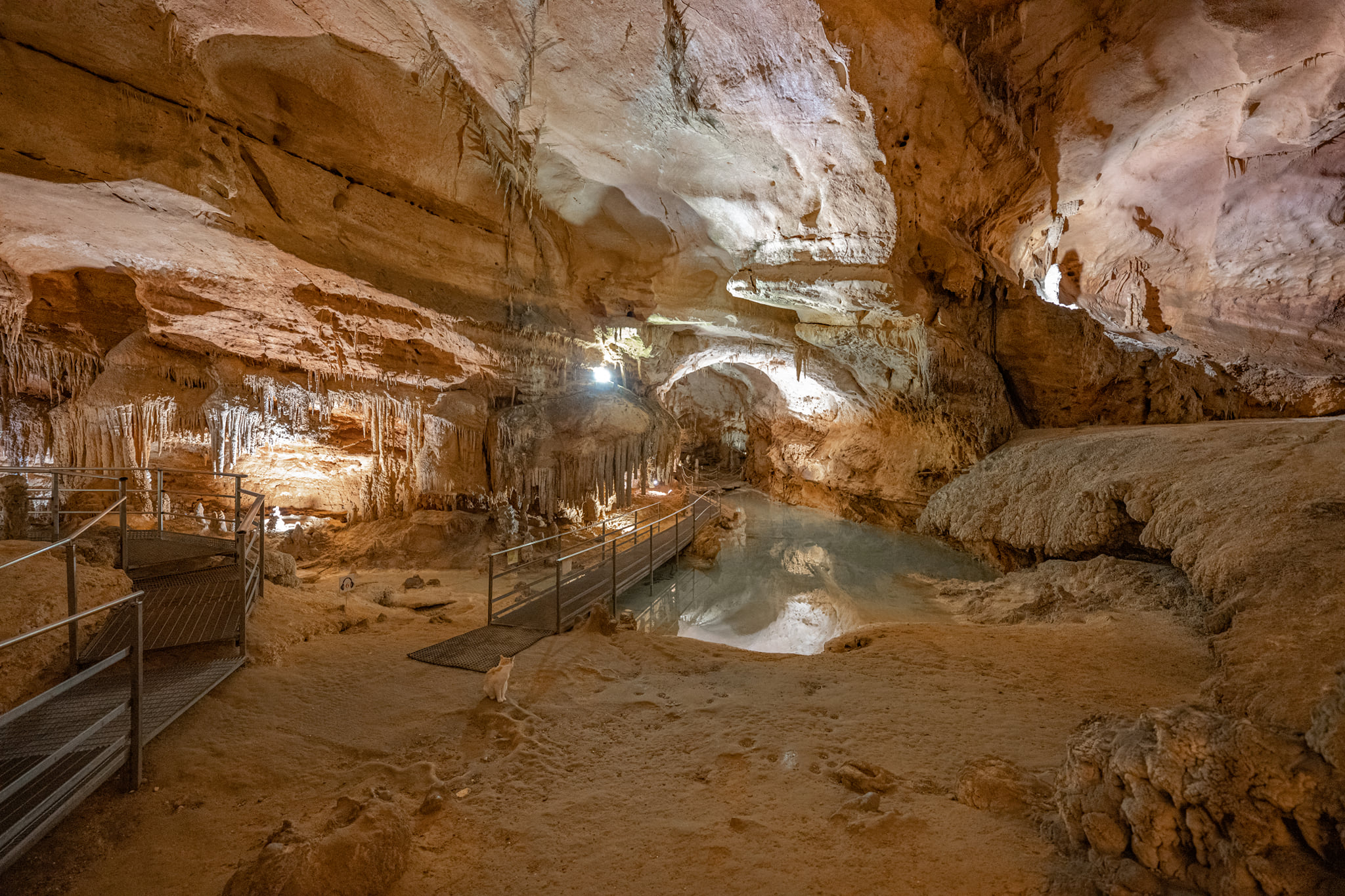 Grotta del fico (nuoro) https://www.grottadelfico.it/en