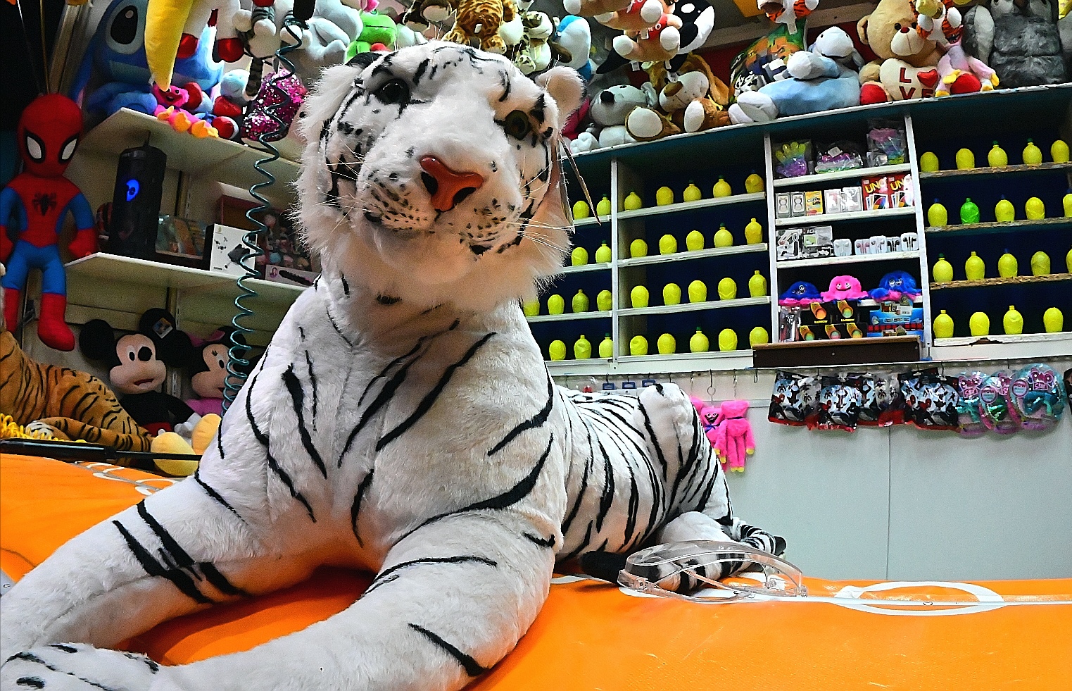 salviamo la tigre
