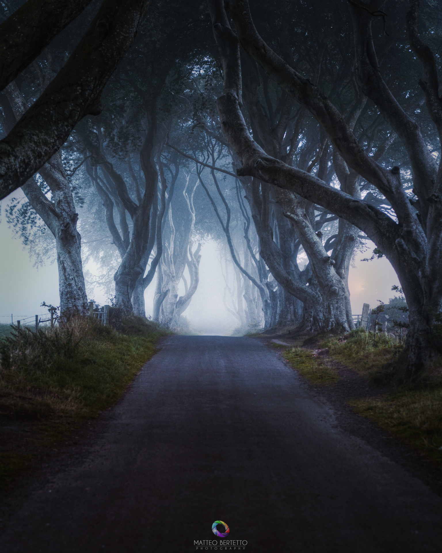 The Dark Hedges - Irlanda