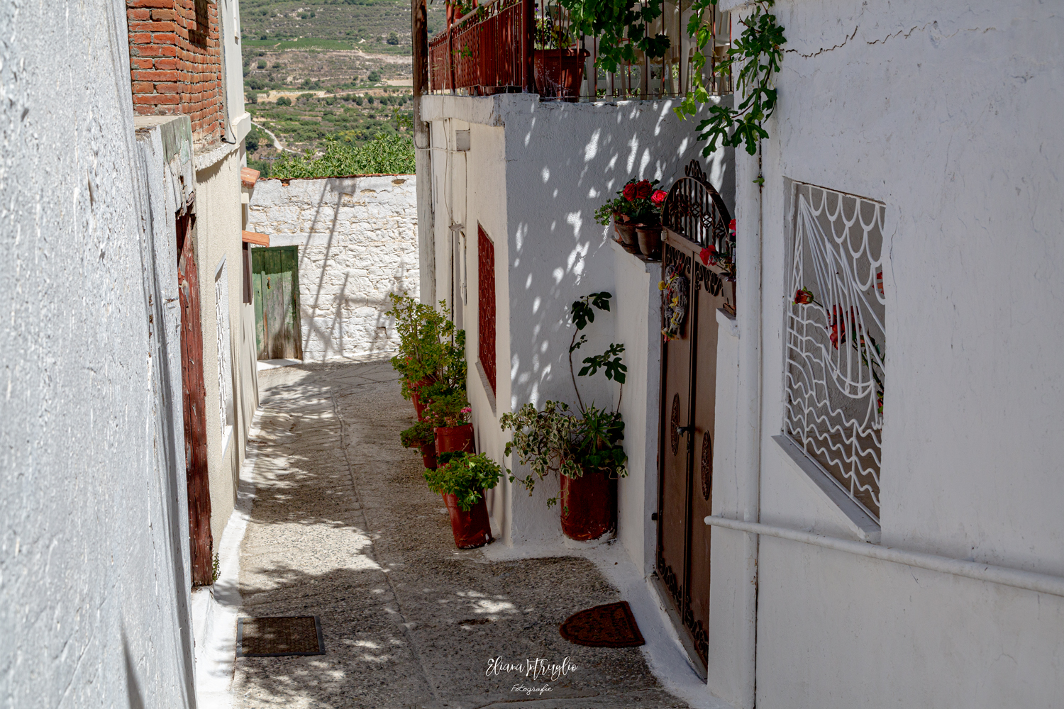 Quiet alleys in Omodos
