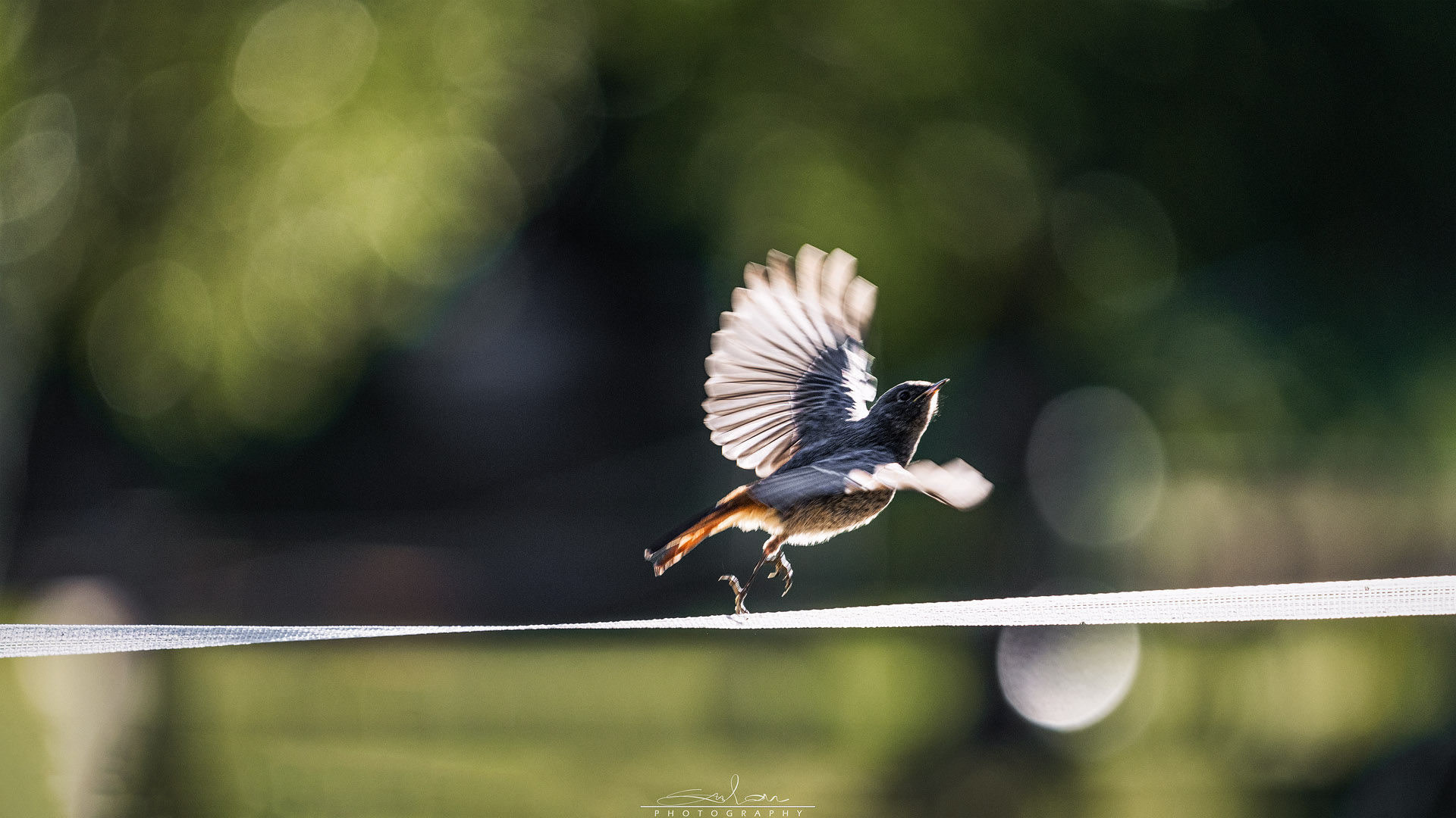 Balance or flight?