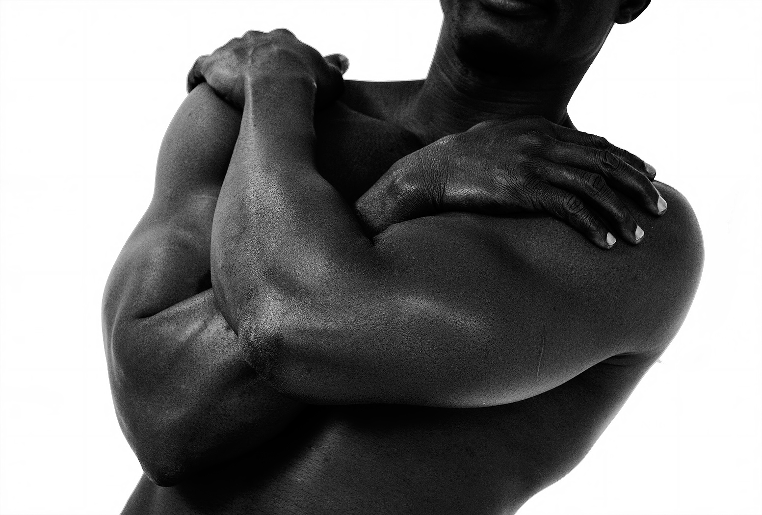 Torso