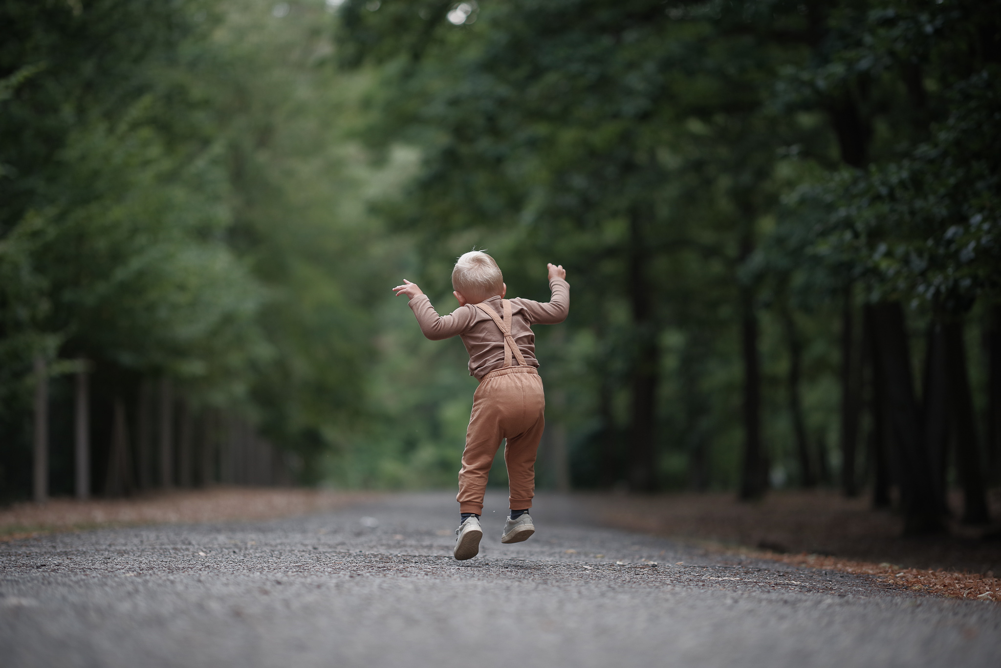 Pentax K-1 + DFA 85/1.4