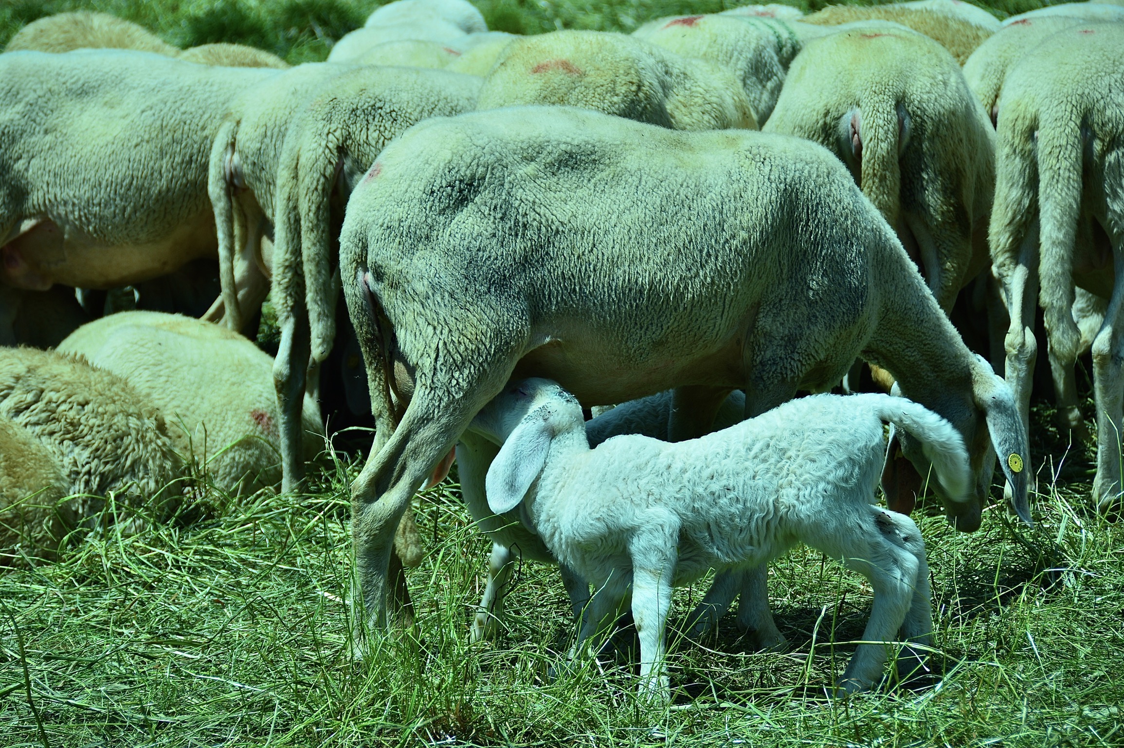 ... it's snack time...