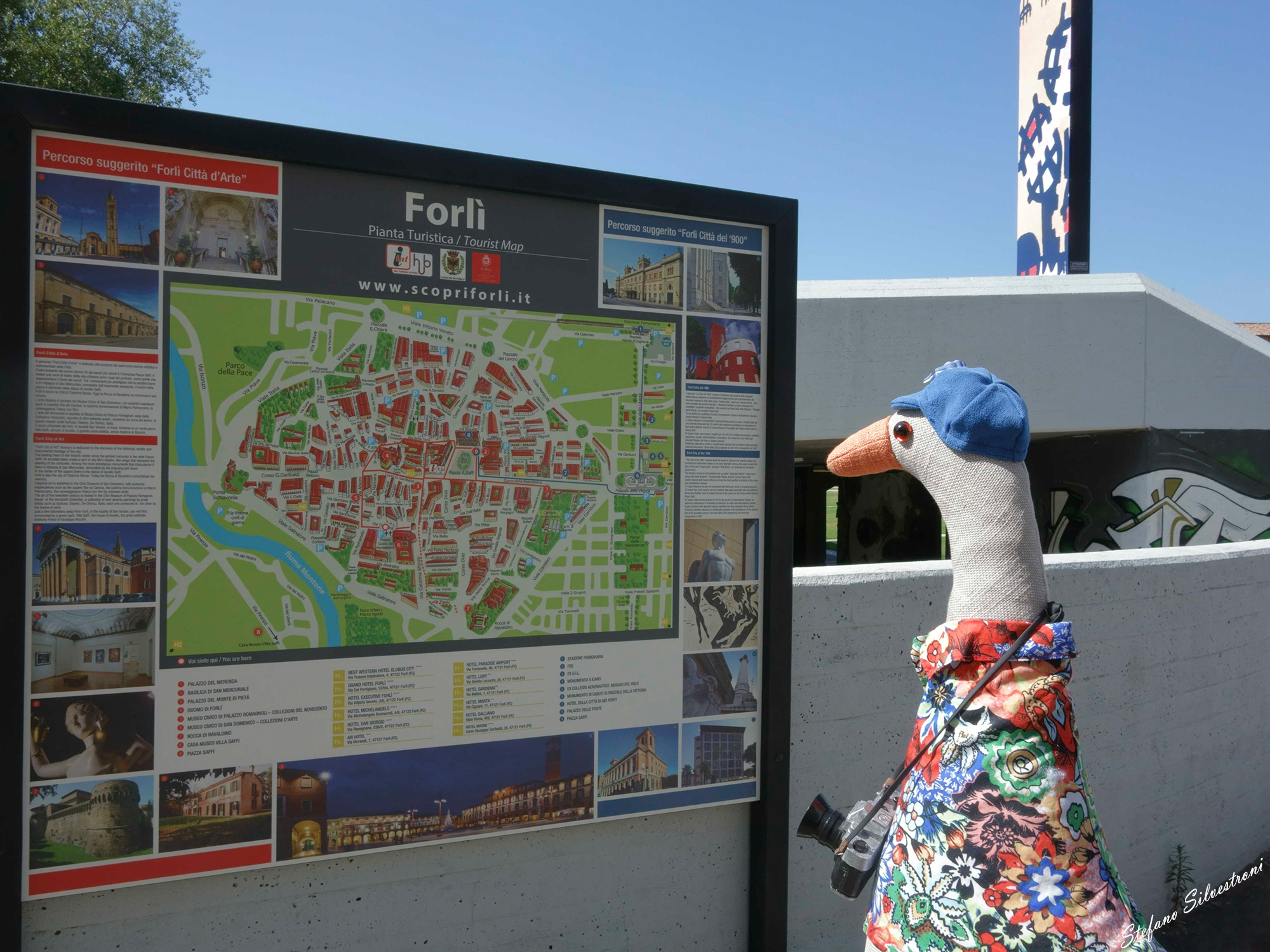 "Quack! Happy Ferragosto... "