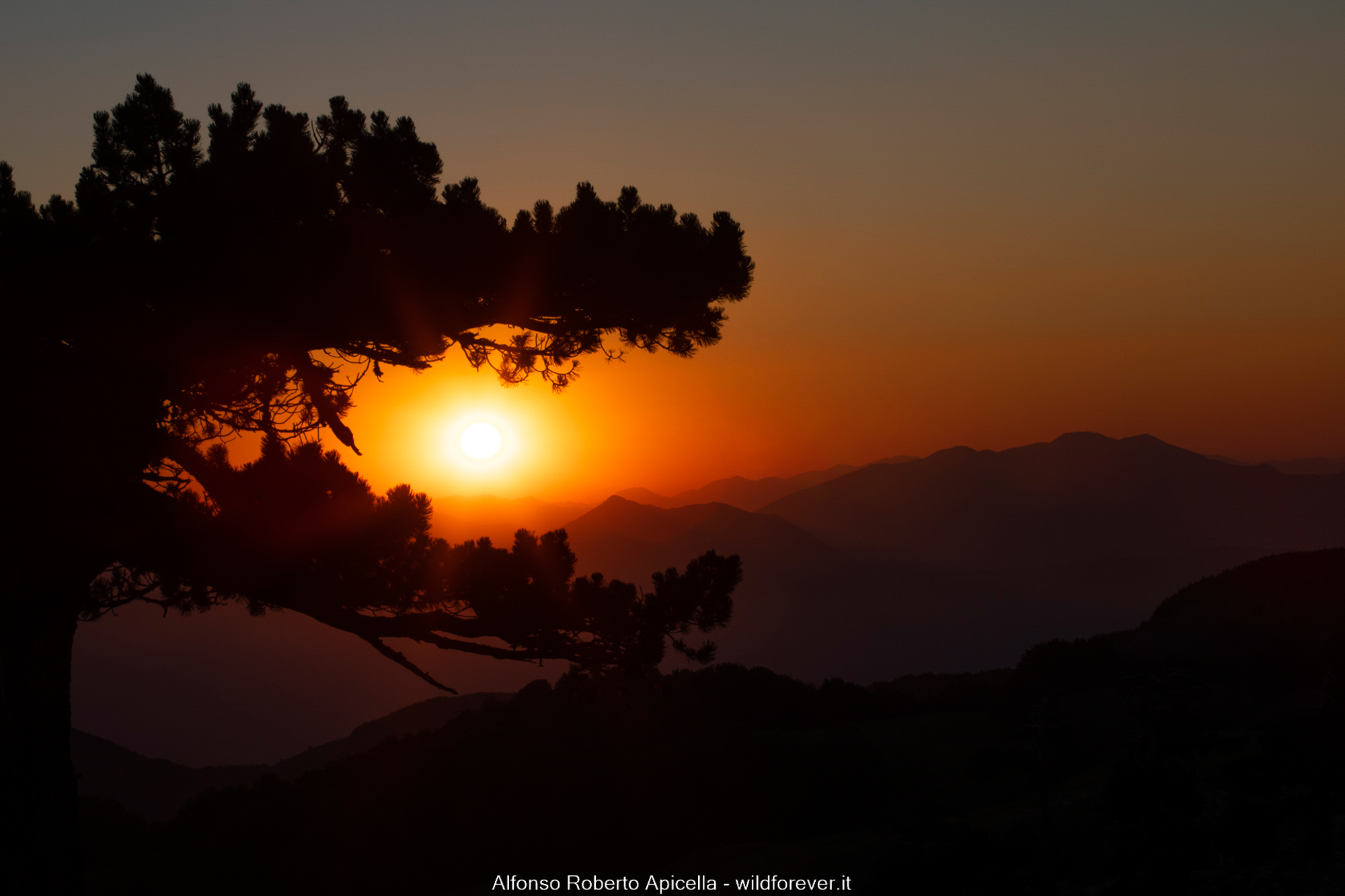 The fire-breathing dragon - Pollino National Park