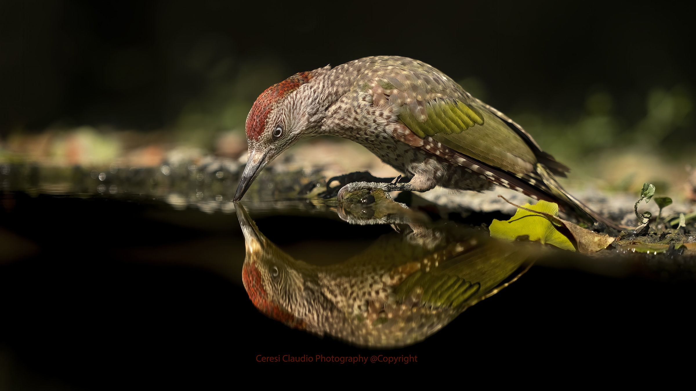 abbeverata del picchio verde