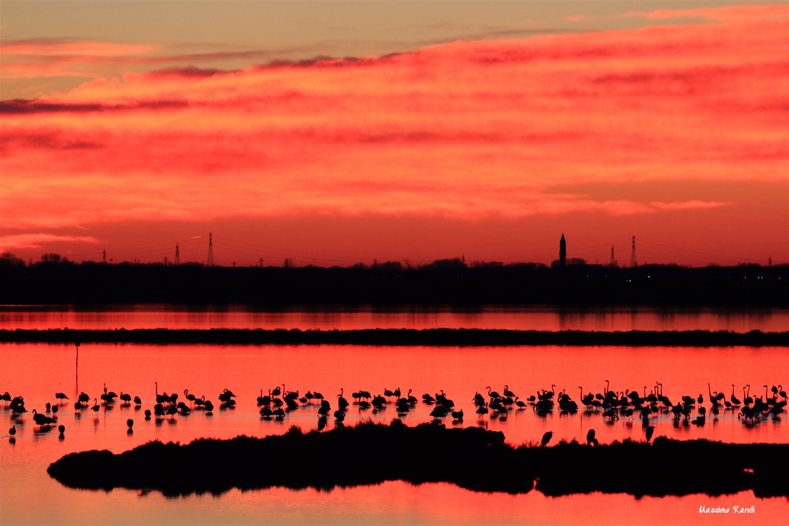 Albarella in red, Po delta