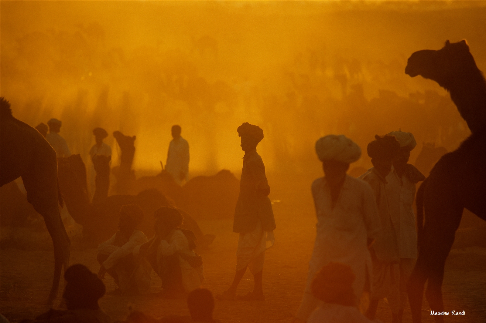 Camel fair, Pushkar