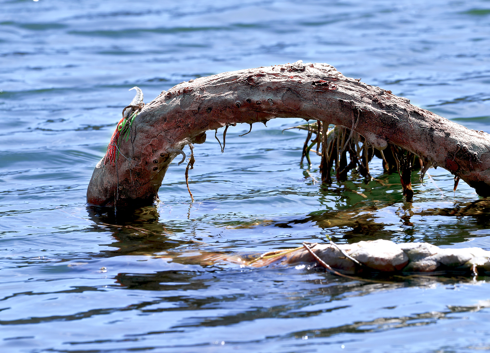 Loch Ness