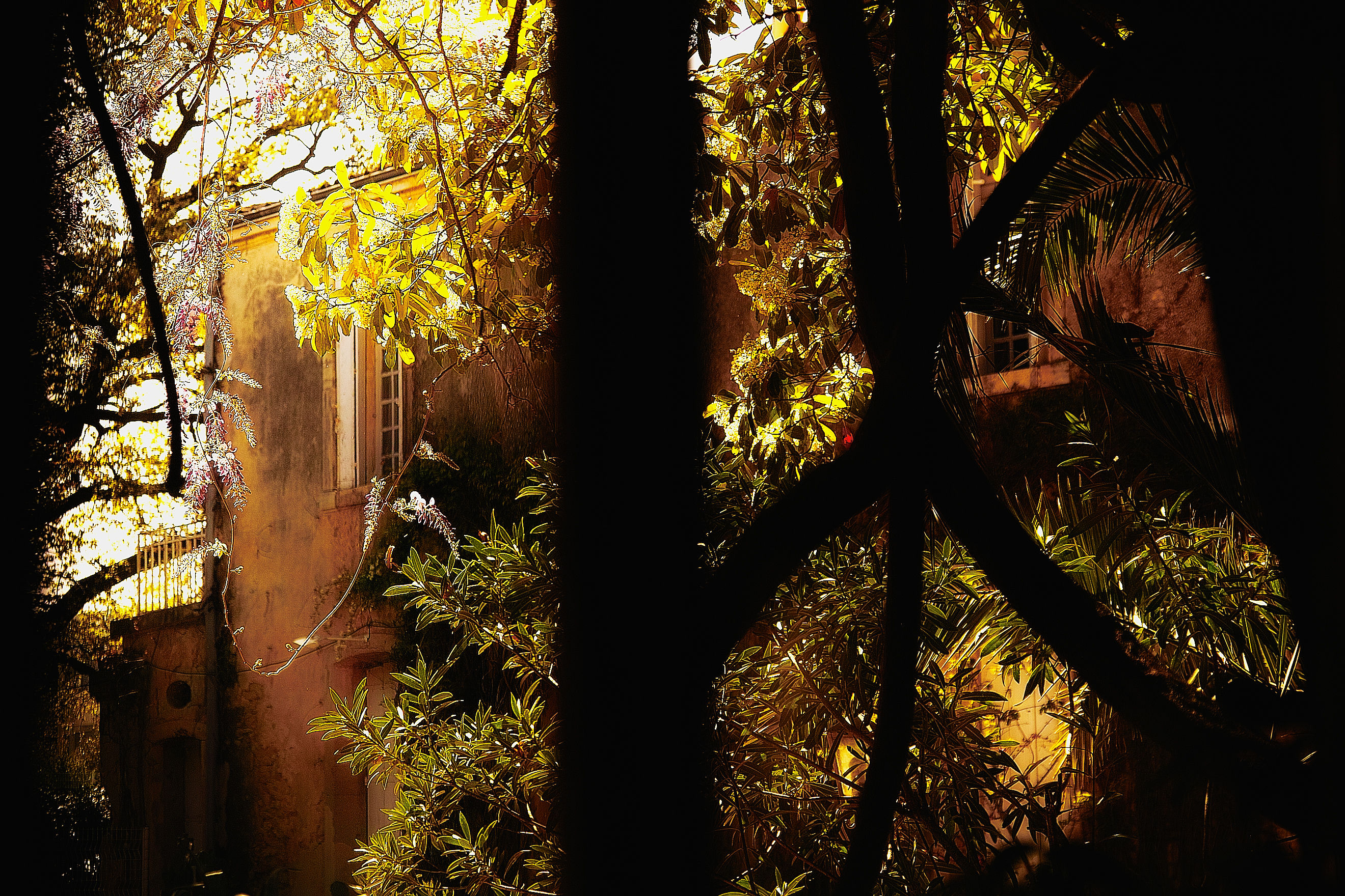 Looking across the window. En Languedoc-Roussillon