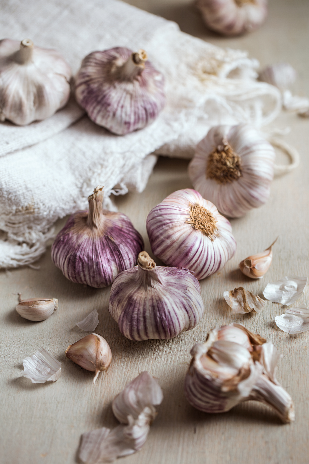 Red garlic French