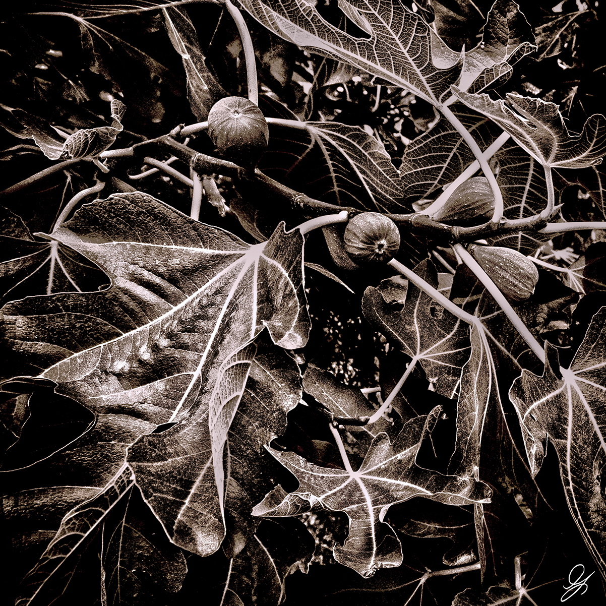 Really nice types...