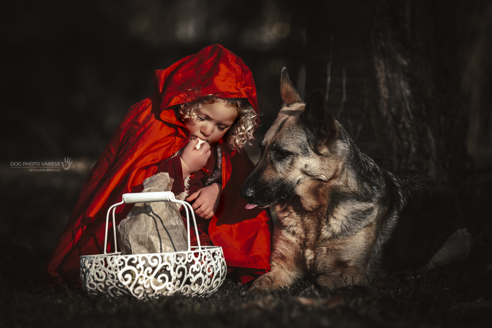 I think the wolf just wanted to be heard.