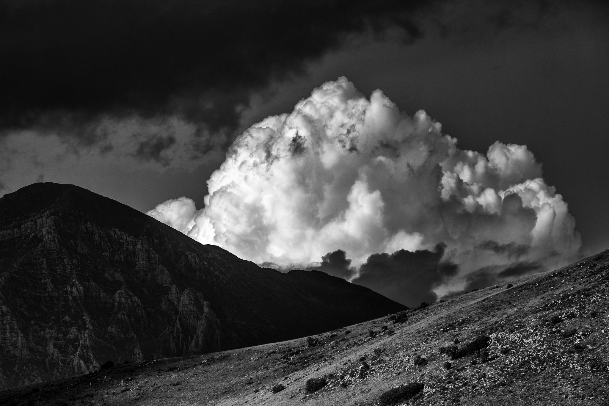Untitled Photo