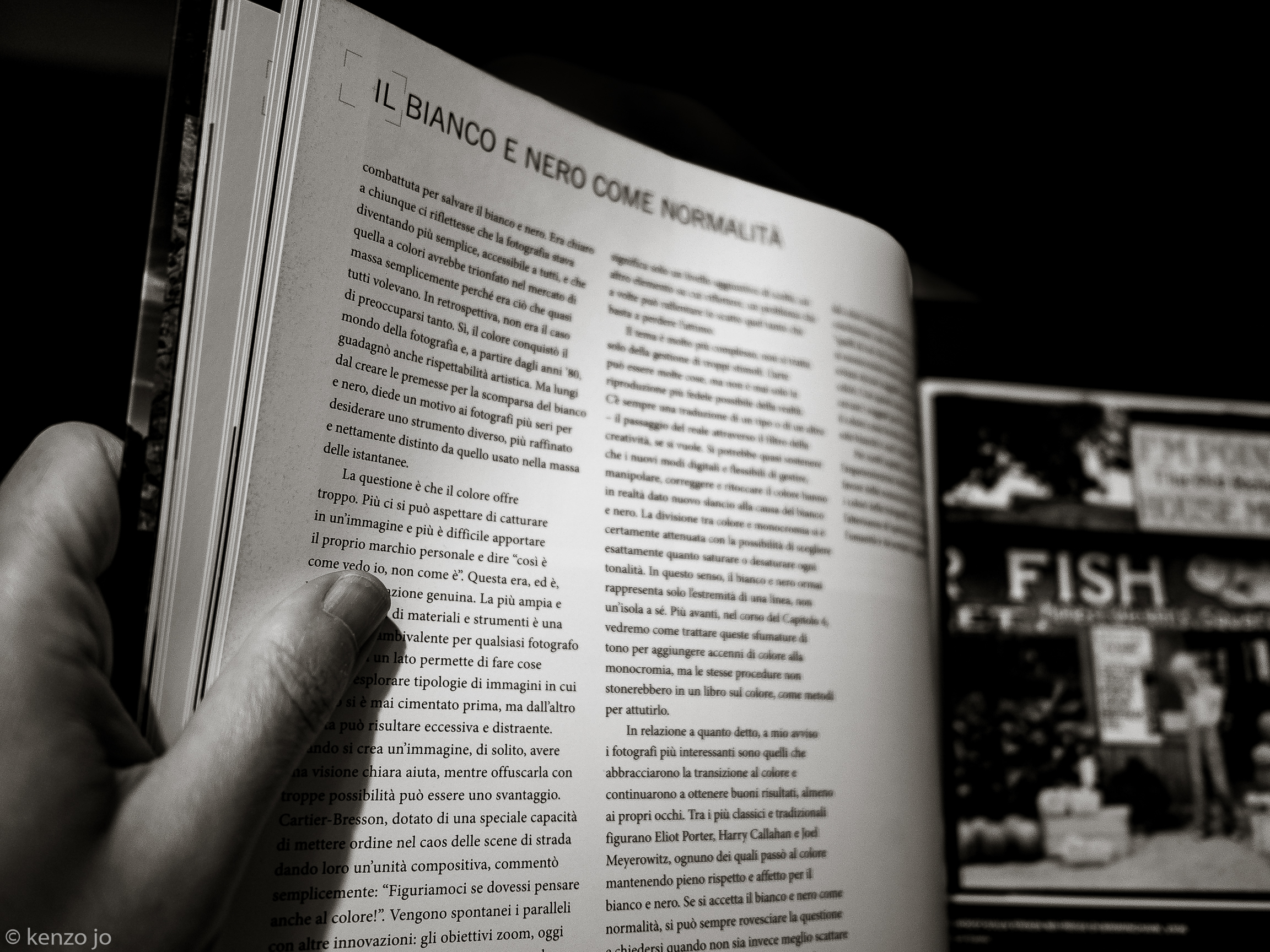 Così è come vedo io, non com'è