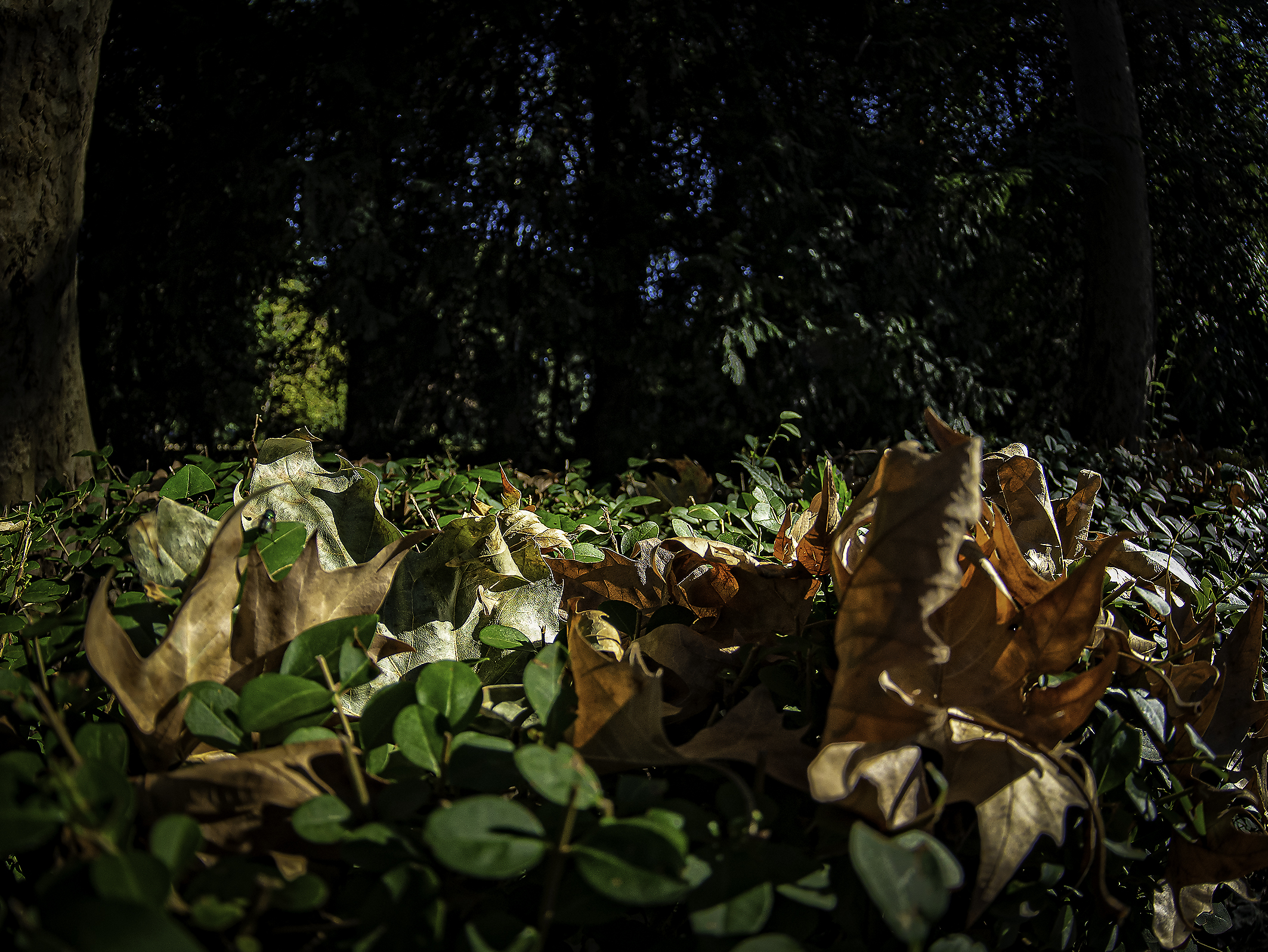 Untitled Photo
