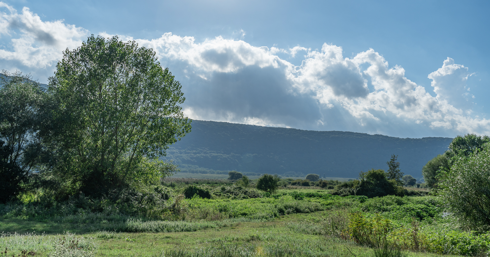 marsh of lake vico