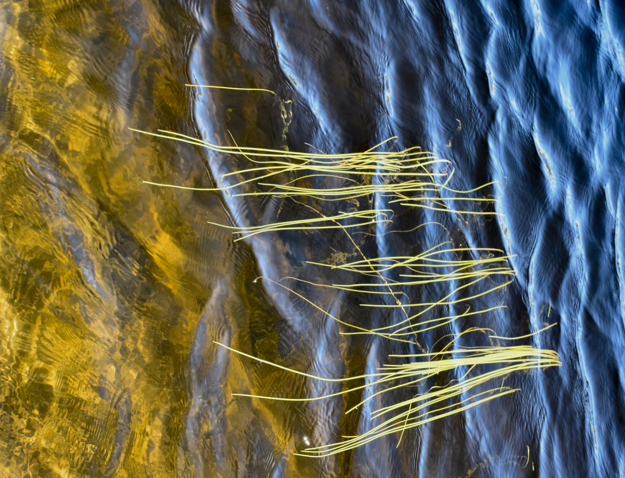 Laghetto a quota 2100m