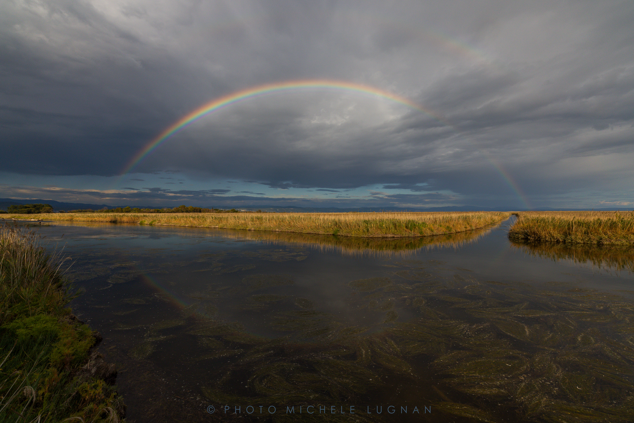 Foce dell'Isonzo, Grado
