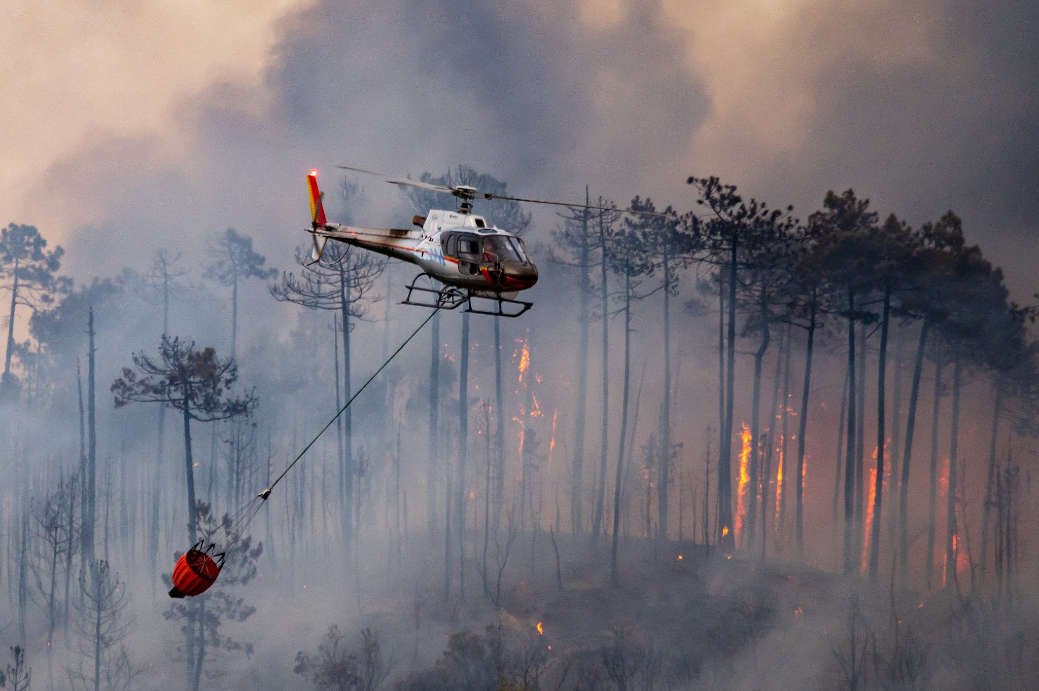 Combattendo il fuoco 1
