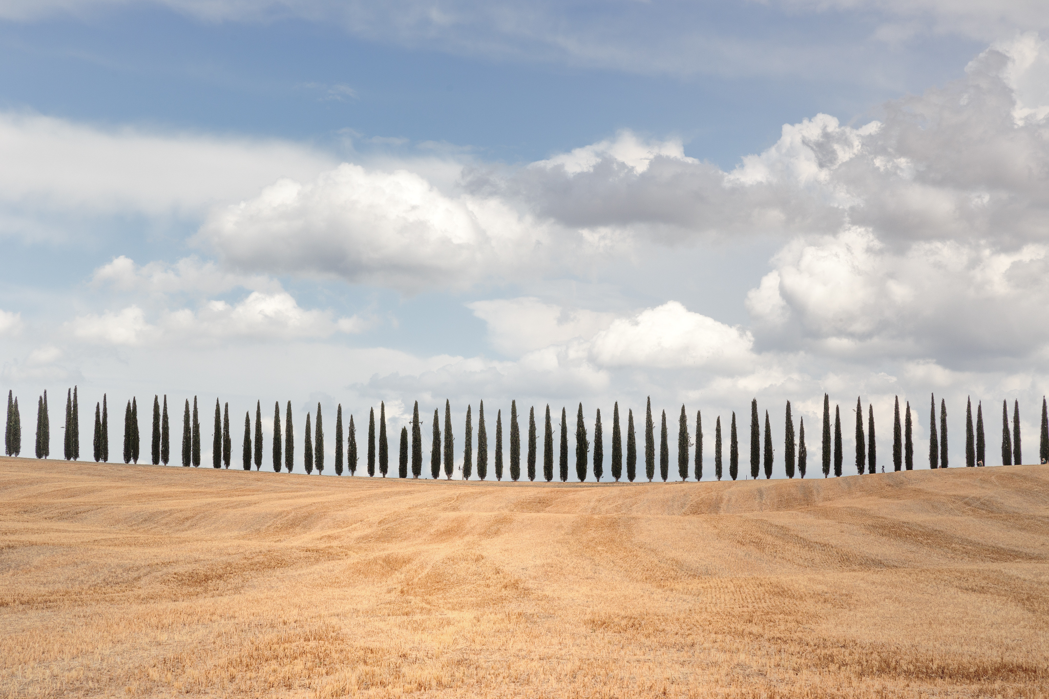 tuscany1