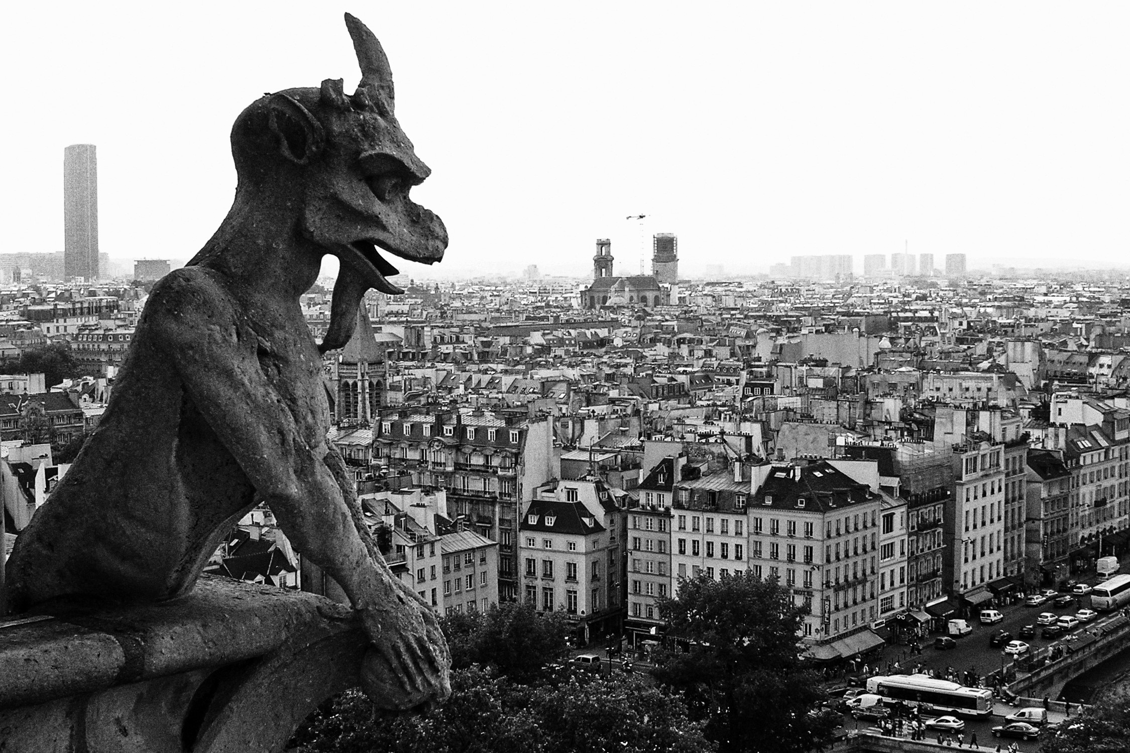 Il gargoyle