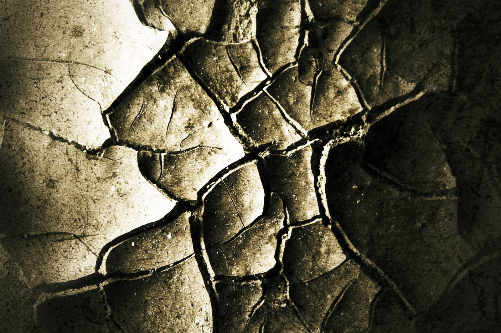 terreno1