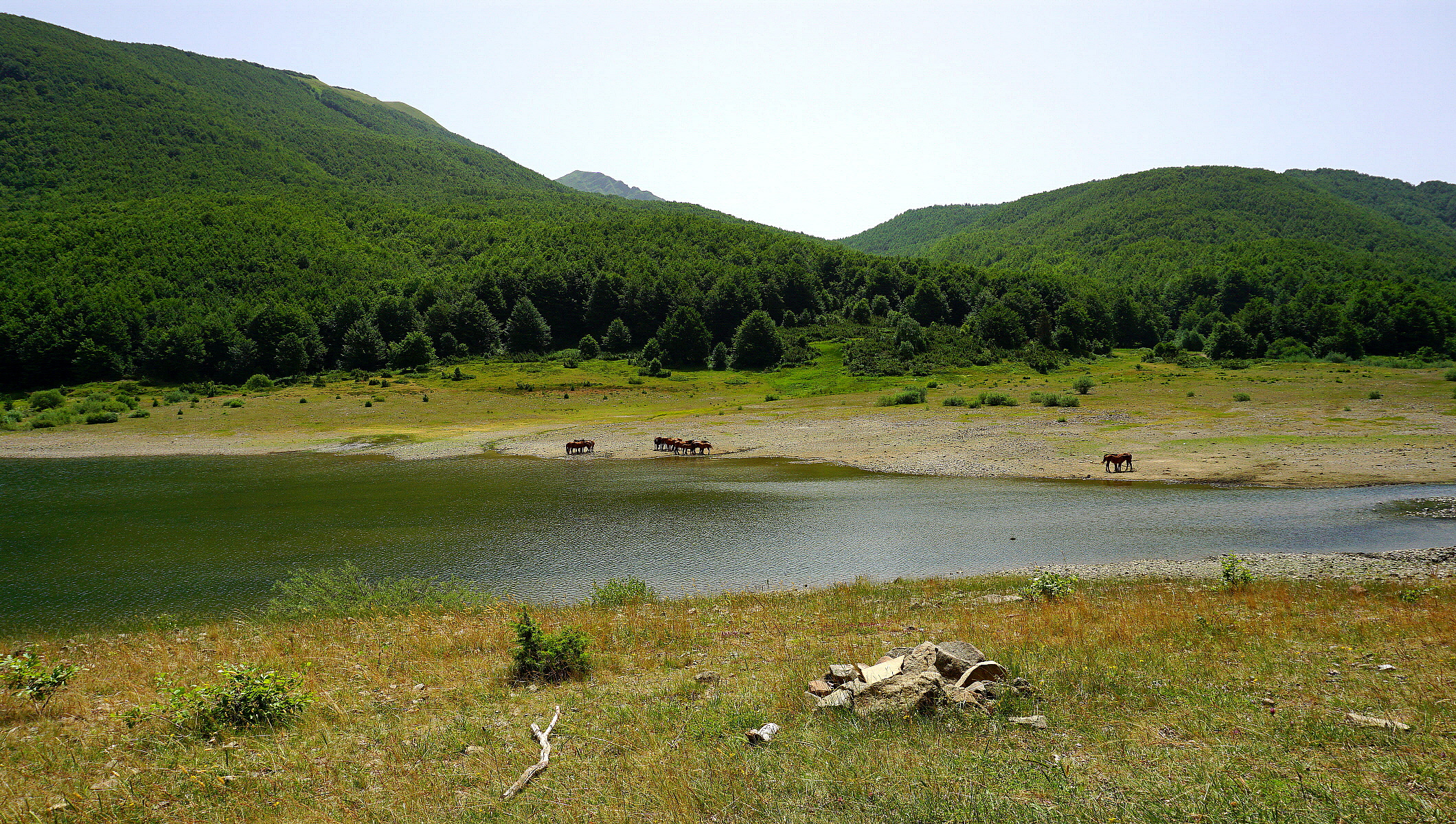 4 passi al Lagastrello