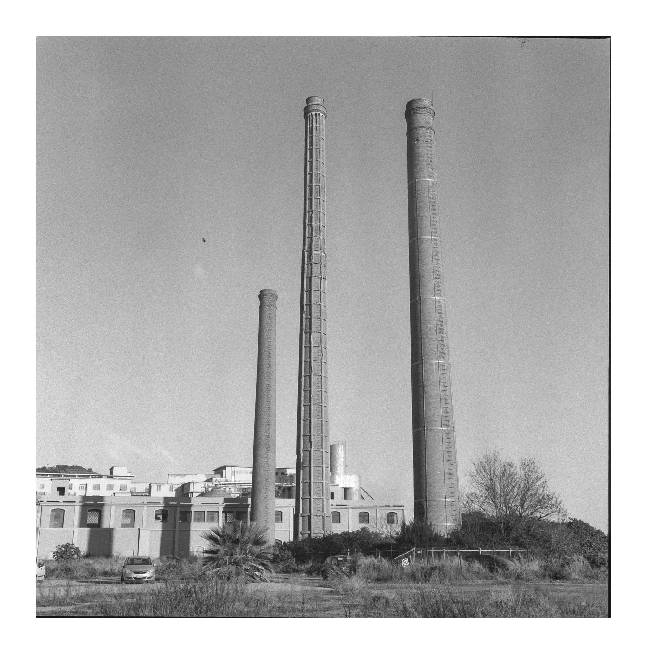 imperia 2022- analogica 6x6 Rolleiflex  3.5 T