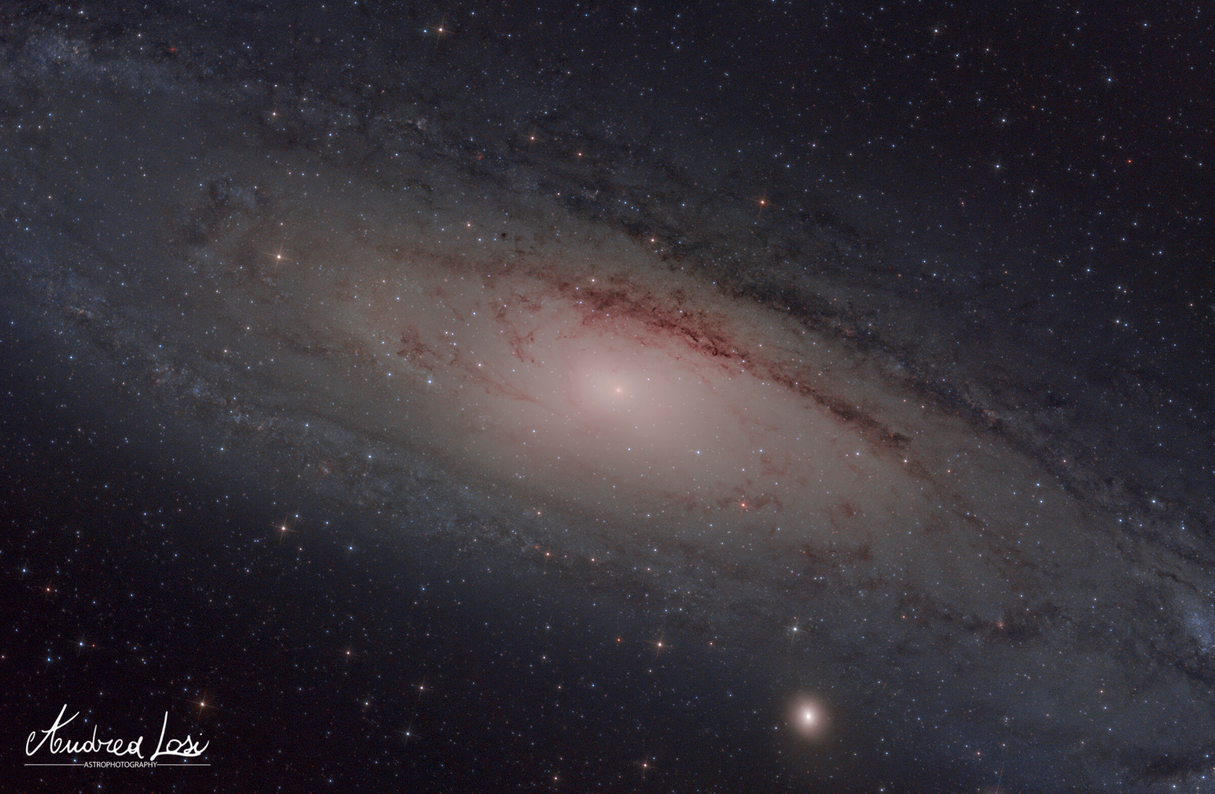 Galassia di Andromeda