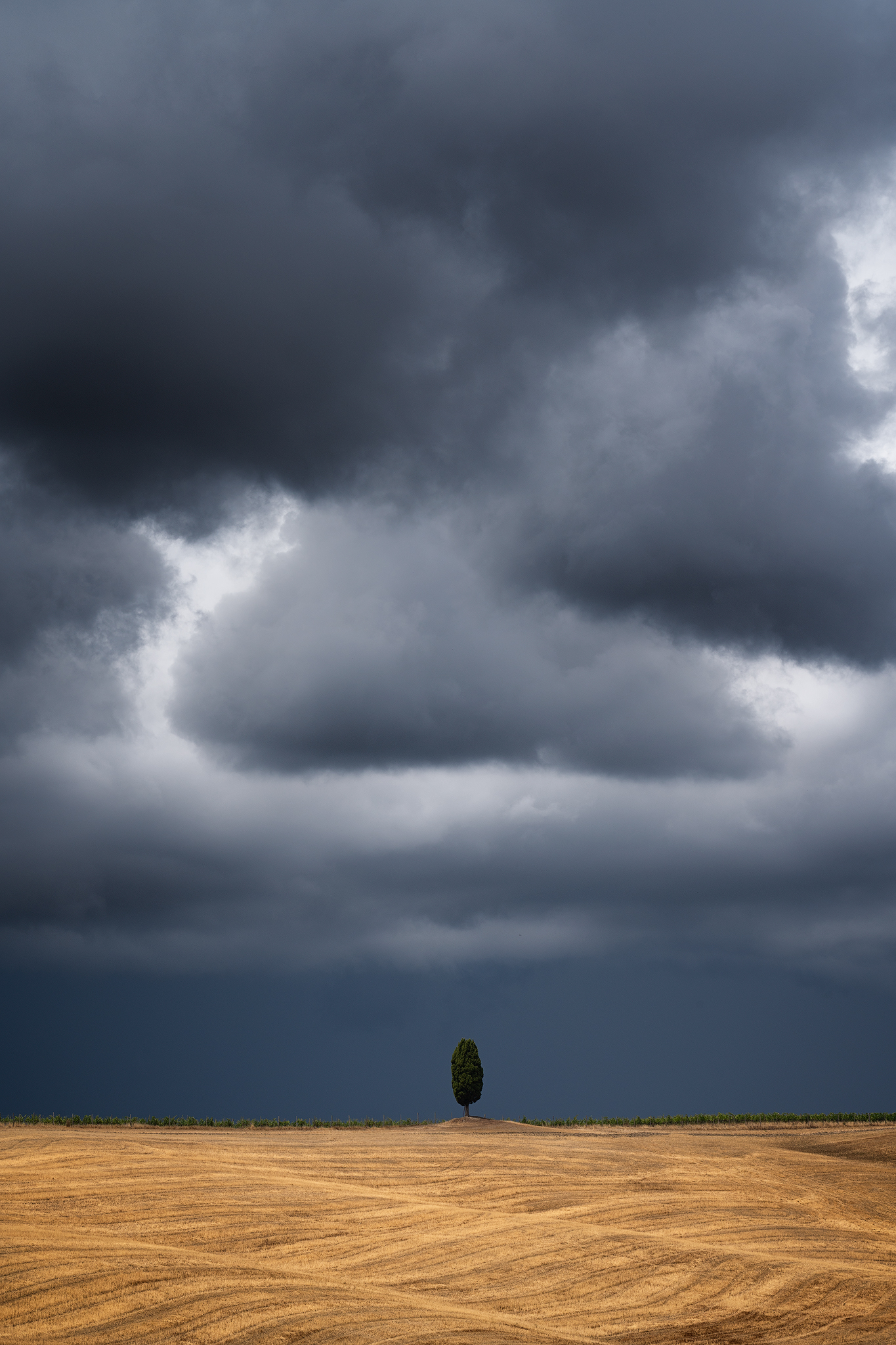 Storm